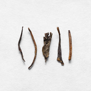 Jou Yanagi Houjicha